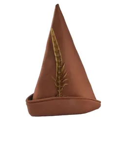 Brown pointed costume hat detail, decorative feather accent, medieval party accessory close-up