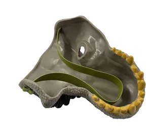 Nahaufnahme der inneren Struktur der Dinosaurier-Maske mit Gummizug, Detailansicht.