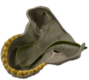 Dinosaurier Maske Innenansicht Kinder T-Rex Kostüm Party Tier Kopfbedeckung Requisite.