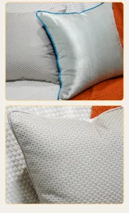 Moderne Luxus Sofa Kissenbezug hochpräzise Textur Kissen Detailansicht im Wohnraum