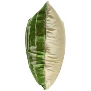 Luxury decorative throw pillow with green abstract pattern and beige solid side for sofa bed.