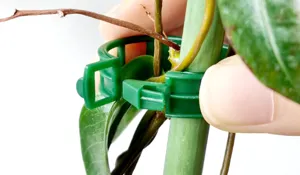 Detail van groene kunststof plantenclip, duurzame ranken klem steun voor klimmende planten.