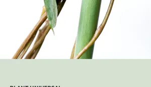 Plantstengel ondersteuning detailweergave, tuinwijnstok bevestiging accessoire close-up