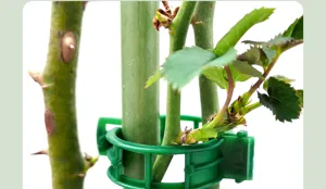 Groene plastic plantenclip voor het ondersteunen van klimplanten en stengels, detailweergave