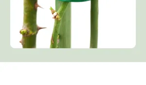 Gedetailleerde close-up van groen plastic plantensteunklemmen voor tuinvirganen.