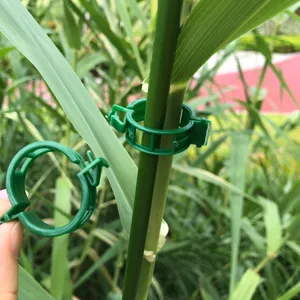 Groene kunststof plantenclips voor klimplanten, verstelbare tuinklanten en stengelbevestigingen.