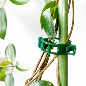 Universele kunststof planten bevestigingsclip voor het ondersteunen van mooie klimplanten