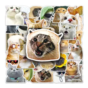 50pcs Funny Cat Meme Stickers Waterproof Cute PVC Graffiti Decals for Water Bottle Luggage