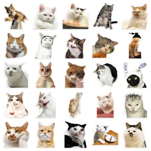 Cute funny cat meme waterproof PET stickers pack, hilarious animal expression decorative decals.