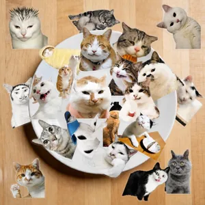 50 Pcs Funny Cat Stickers Transparent Waterproof Cute Pet Meme Decals for Laptop Water Bottle