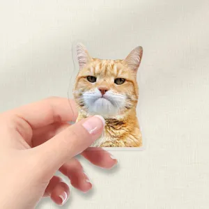 Transparent funny cat meme PET sticker featuring cute waterproof animal expression design for decor.