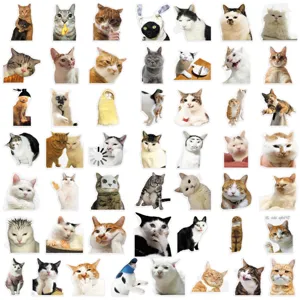 50pcs transparent funny cat meme stickers waterproof PET cute animal expression decals for decor