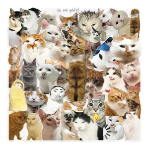 50pcs transparent funny cat stickers cute meme animal waterproof decorative decals