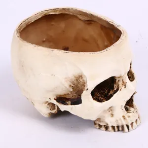 Resin human skull flower pot detail view, perfect for Halloween party decoration or gothic home style.