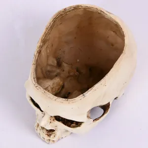 Detailed view of the resin human skull flower pot, vintage white skull Halloween decor.