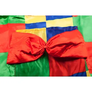 Detail de costume de clown colore avec tissu patchwork vif et grand noeud rouge pour fete.