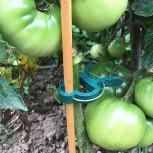 Clips de Support de Plante en Plastique Pinces de Vigne de Jardin pour Tomates Vert
