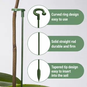Green plant support stake for orchid and potted flowers, sturdy steel rod with functional hook.