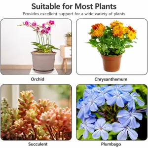 Plant support stakes for potted flowers orchids succulents anti-lodging green garden brackets