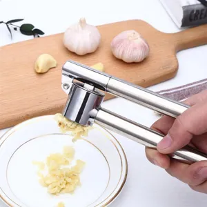 Stainless steel manual garlic press kitchen tool for fast crushing and mincing garlic easily.