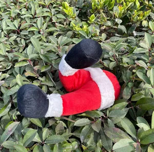 Detailaufnahme von Weihnachtselfen Beinen Dekoration, Pluesch rot weiss fuer Garten Hof Aussen.