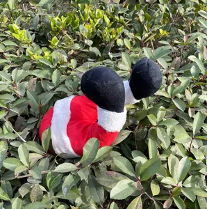 Nahaufnahme der Weihnachts-Elfenbeine Dekoration im grünen Außen-Garten-Busch Szenen-Detail.