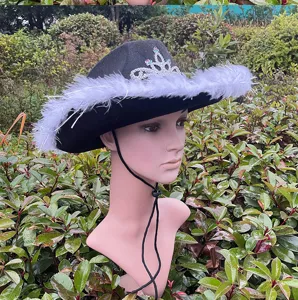 Black western cowboy hat with white feathers and rhinestone tiara crown for stage party costum