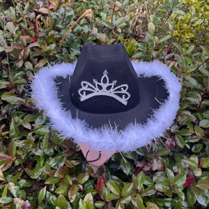 Black western cowboy hat with white feather trim and rhinestone crown for party stage costume.