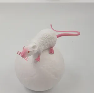 Primo piano di un giocattolo di topo scherzo in plastica bianca realistico su una sfera.