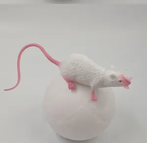 Simulazione topo bianco scherzo giocattolo di Halloween modello di ratto finto realistico.