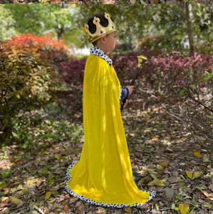 Kids king costume cape and crown set for Halloween party performance, detailed side view.