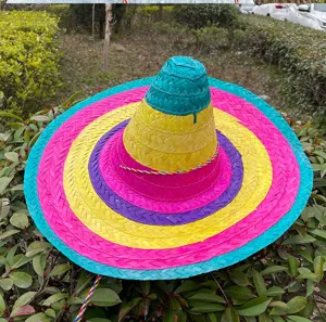 Colorful Mexican woven straw hat sombrero for party, festival, costume, and sun protection.