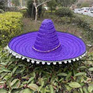 Purple Mexican sombrero straw hat with colorful pom poms, traditional party festival costume hat.
