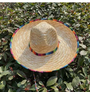 Close-up detail view of a classic Mexican straw hat with colorful woven striped rim and band.