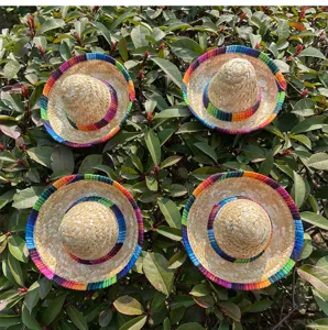 Miniature Mexican straw hats with colorful woven trim, perfect pet and doll dress-up detail.