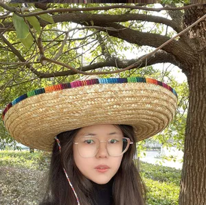 Detailed close-up of adult Mexican straw hat with colorful woven band, worn outdoors.