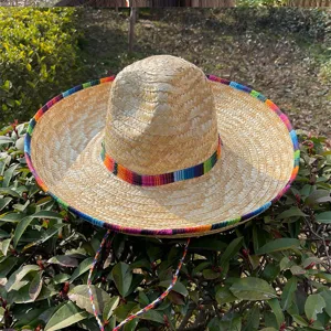 Close-up detail of Mexican straw hat with colorful band outdoors on green leaves.