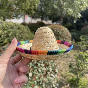 Mini Mexican straw hat accessory with colorful woven brim, perfect for doll and pet styling.