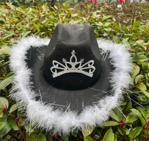 Mooie zwarte cowboyhoed met pluizige witte veren en strass kroon voor een feestje.