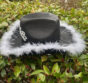 Zwarte western cowboyhoed detail met witte veren rand en strass kroon voor feestjes.