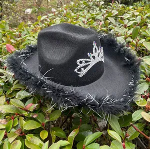Zwarte westerse cowboyhoed met kroonontwerp en veren afwerking voor feestkleding.