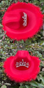Gedetailleerde close-up van rode veren cowboyhoed met schitterende strass-tiara voor feestjes.