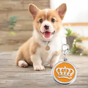 Cute crown zinc alloy pet ID tag necklace pendant for dogs and cats, durable and stylish.