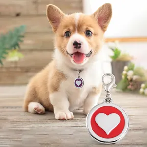 Zinc alloy heart-shaped pet ID dog tag with metal clasp for anti-lost cute puppy accessory