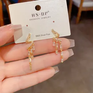 Vue détaillée des boucles d'oreilles tassel en zircon et argent 925, élégantes et brillantes.