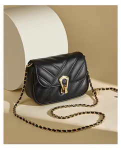 Black quilted mini crossbody bag with gold chain strap and elegant metallic clasp detail.