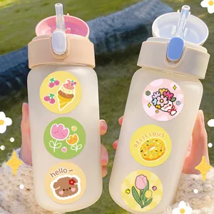 Cute frosted plastic water bottle with straw and lovely cartoon decorative stickers for daily use.