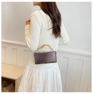 Vista dettagliata della borsa da sera alla moda in acrilico trasparente con manico dorato e catena.