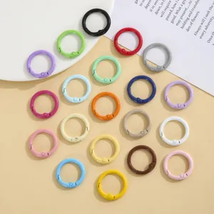 Kleurrijke zinklegering veerringen 23mm ronde sleutelringen DIY tassenclips sieraden accessoires