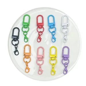Colorful metal lobster claw clasp keychain set DIY bag accessories swivel gate ring hooks